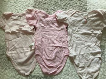 Lot 3 bodies manche courte T2ans