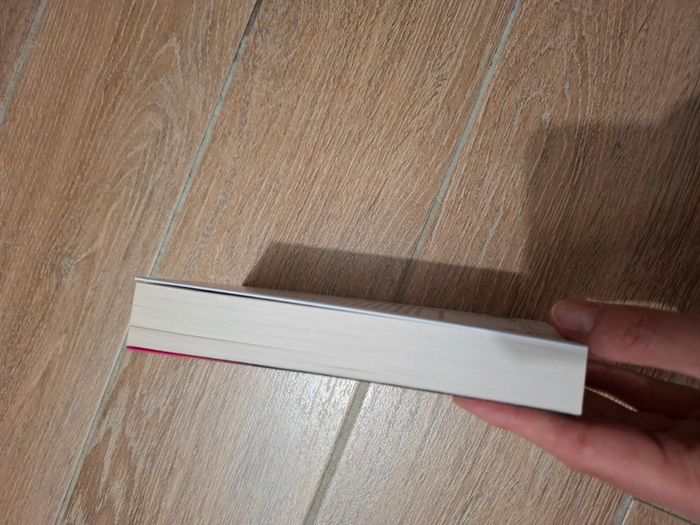 Livre de poche Scandale de L.J Shen - photo numéro 3