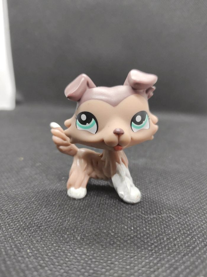 Littlest Petshop LPS dog chien colley collie 1330 hasbro #geektradelpschien