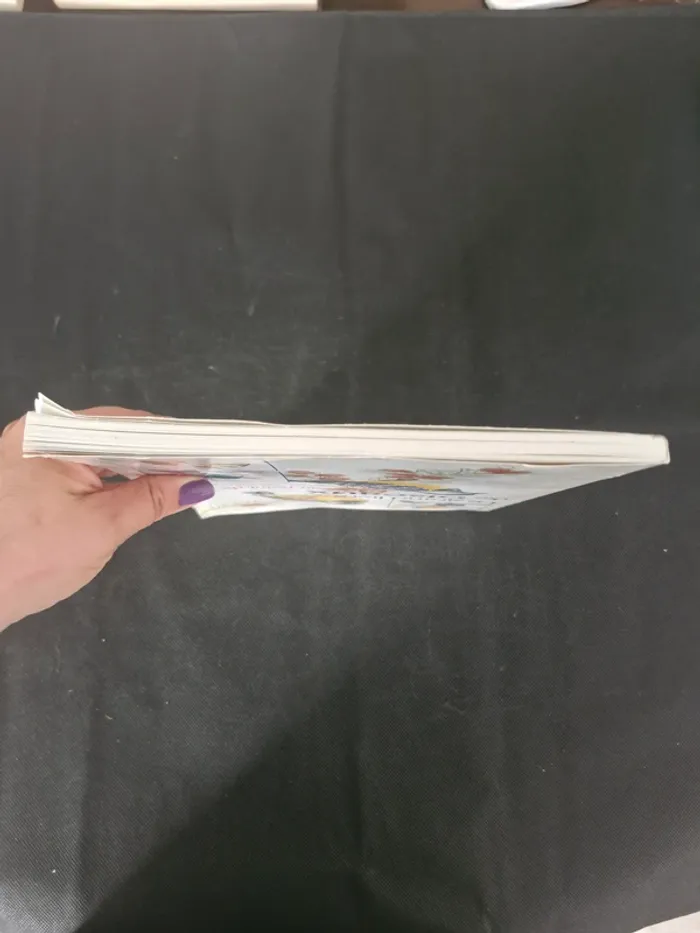 Le grand livre des oiseaux au point de croix - John Gould - photo numéro 5