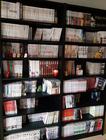 Vends MANGA en Masse