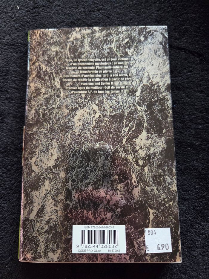 Manda Dr Stone.SF - photo numéro 5