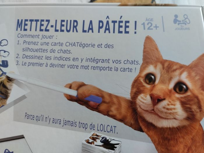 Jeu de société Le Cat Game Spin Master - Neuf - photo numéro 6