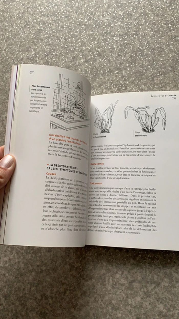 Livres sur les orchidées - photo numéro 4