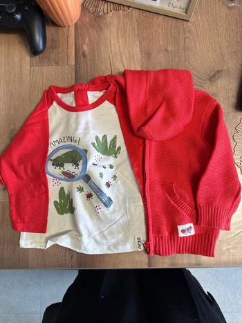 Tee shirt et gilet taille 9 mois