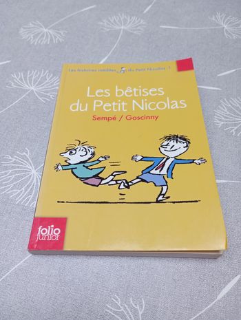 Les bêtises du petit Nicolas