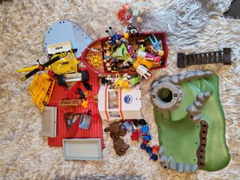 Gros lot de playmobil avec figurines