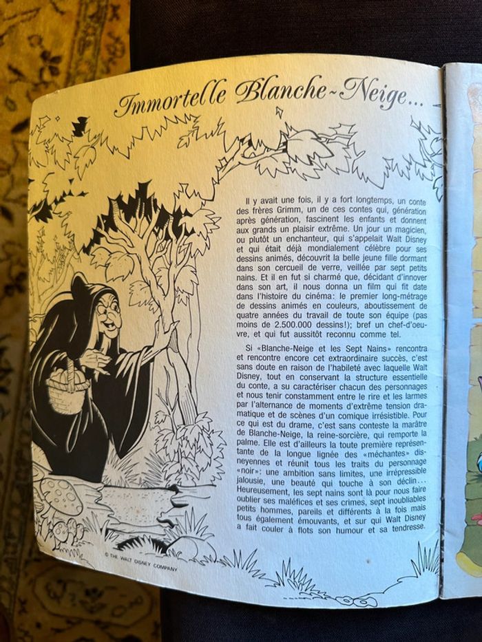 Album images Panini complet Walt Disney Blanche Neige Snow White stickers - photo numéro 4