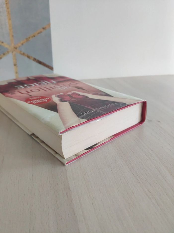 Livre grand format Un papillon sous la neige Kalotay - photo numéro 3