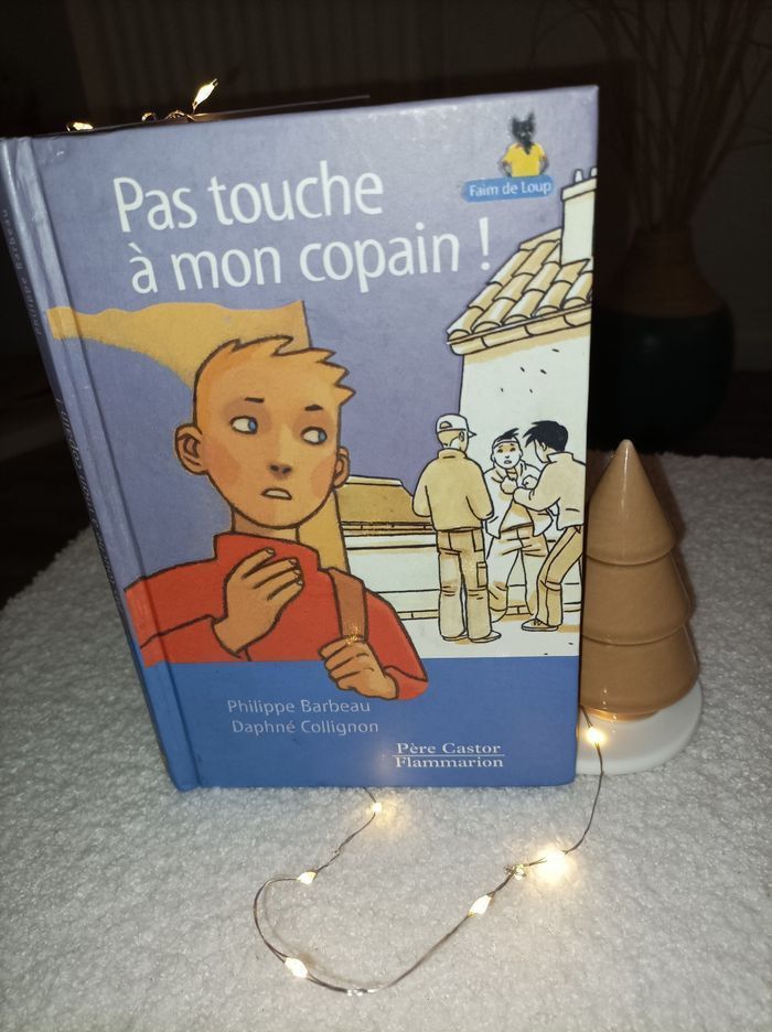 Livre Touche pas à mon copain Flammarion Beebs