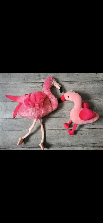 Peluche flamand rose