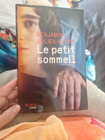 Livre le petit sommeil