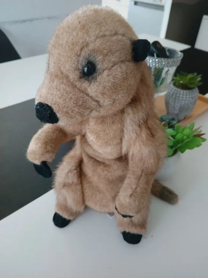 Péluche Suricate National Géographic🌿🎁 - photo numéro 5