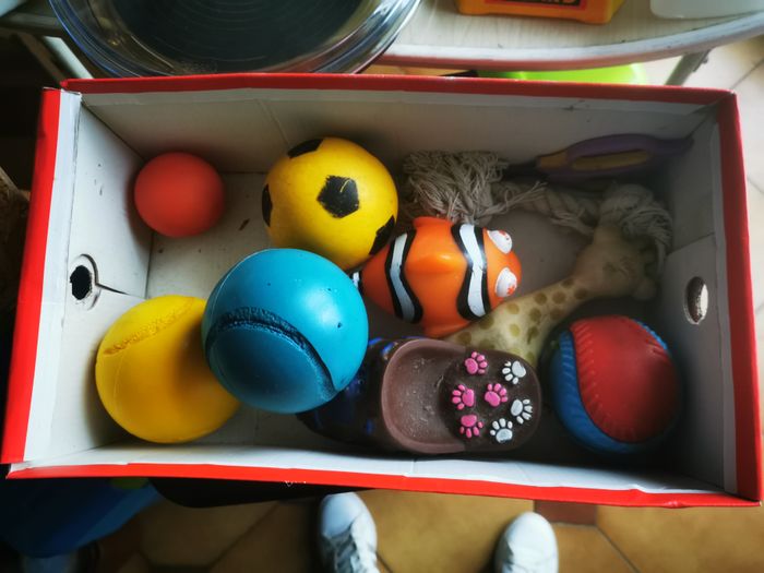 Jouets animaux