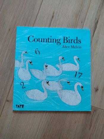 Counting birds