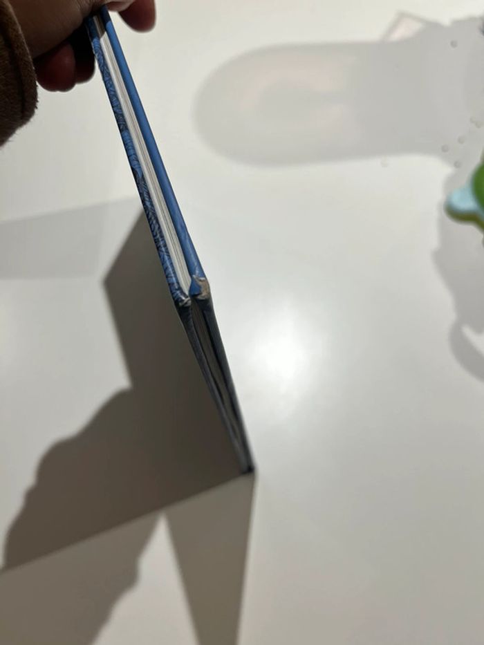 Livre dans la grande forêt - photo numéro 5