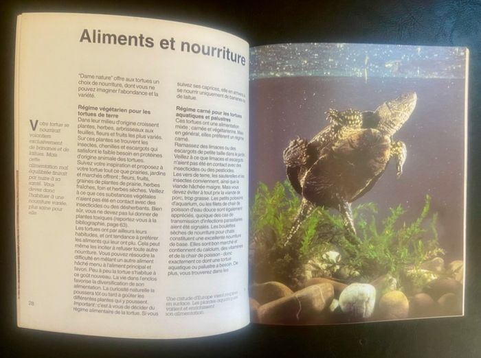 Livre vintage »Les Tortues »de Hartmut Wilke - photo numéro 3