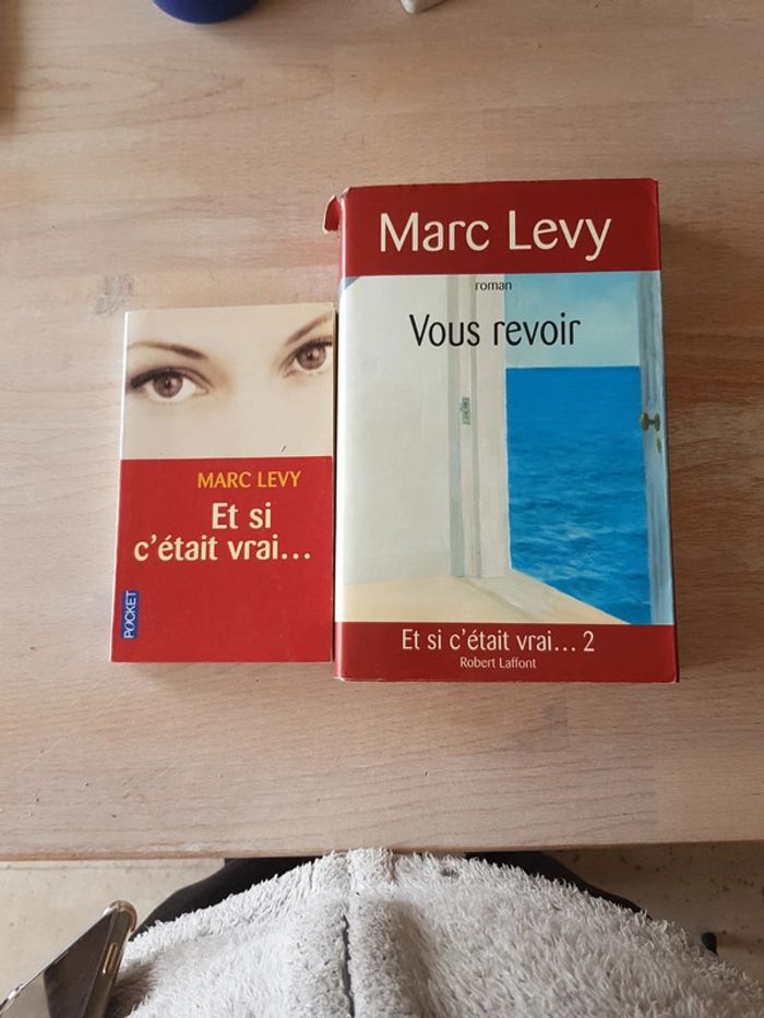 lot de 2 livres Levy