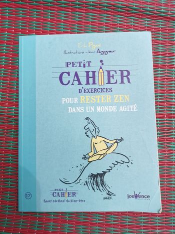Petit cahier d'exercices pour rester ZEN dans un monde agité