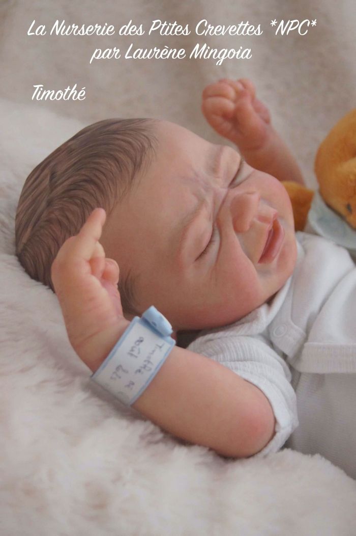 Timothé poupée bébé Reborn authentique 💖 - photo numéro 8