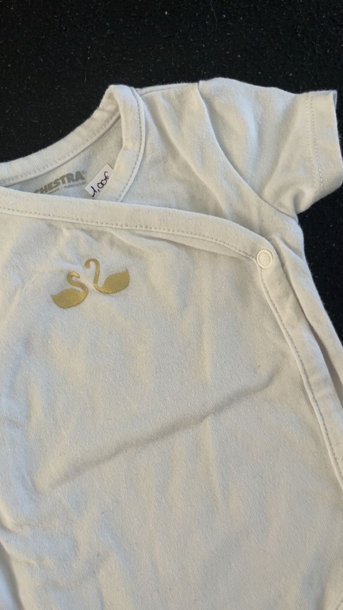 Bodie 3 mois - photo numéro 3