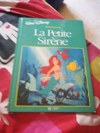Vieux livre ariel