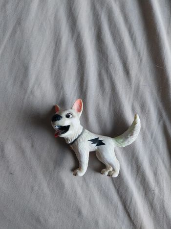 Volt chien