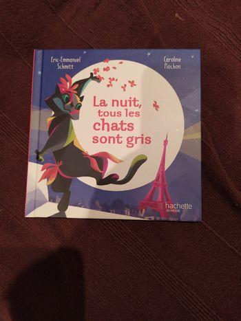 La nuit tous les chats sont gris