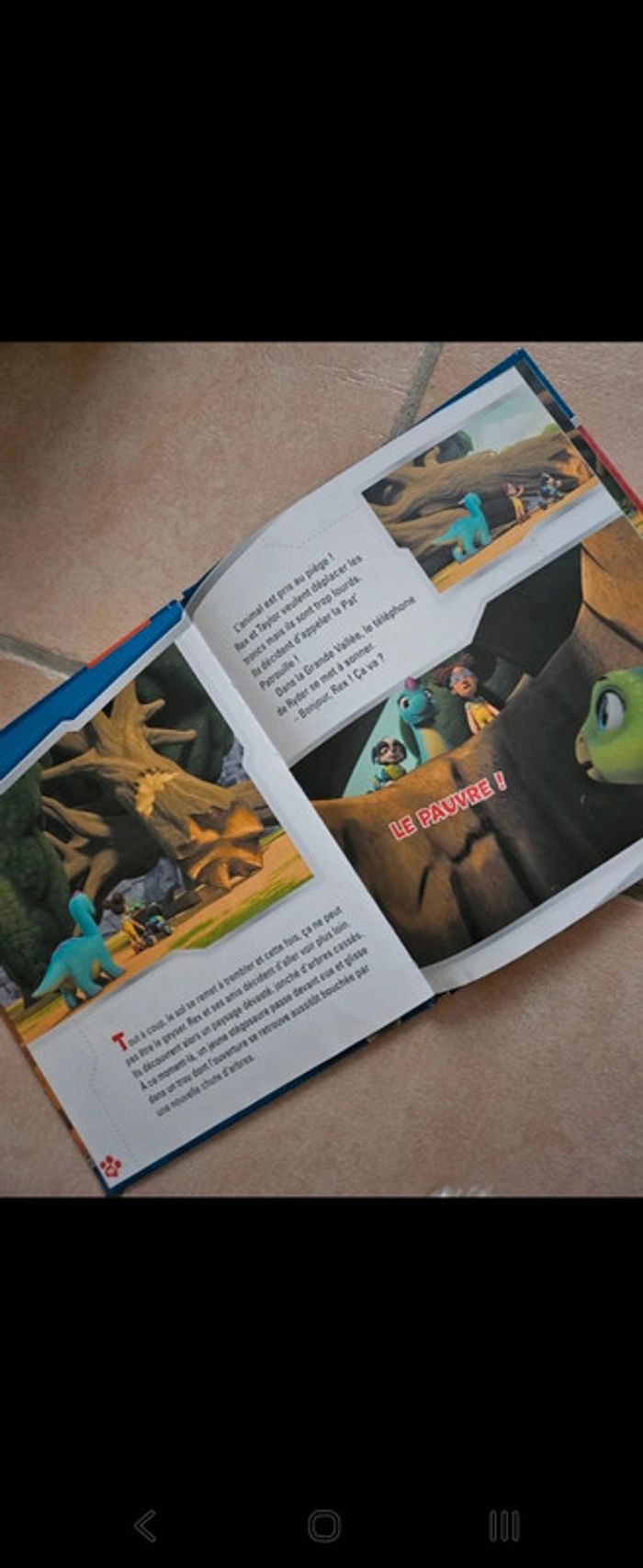 Livre pat patrouille dinosaure - photo numéro 2