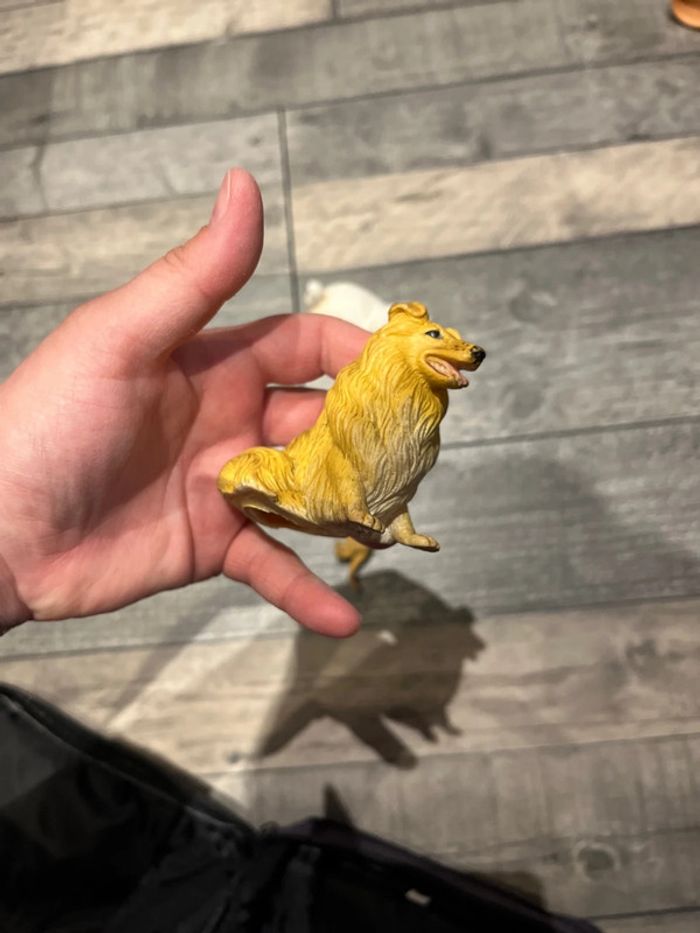 Lot animaux - photo numéro 12