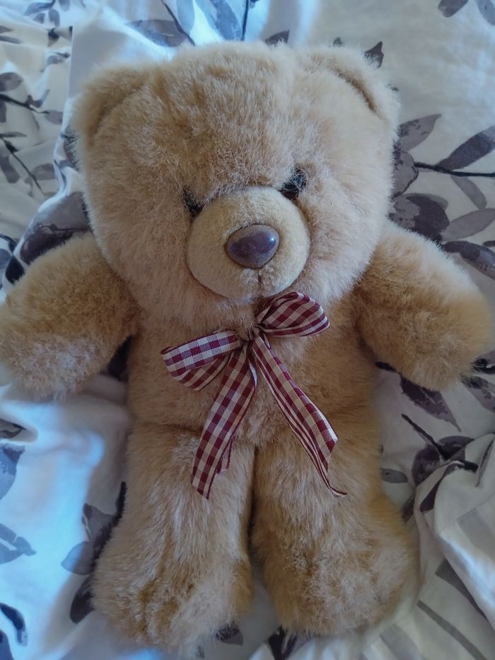 Peluche ours - photo numéro 2