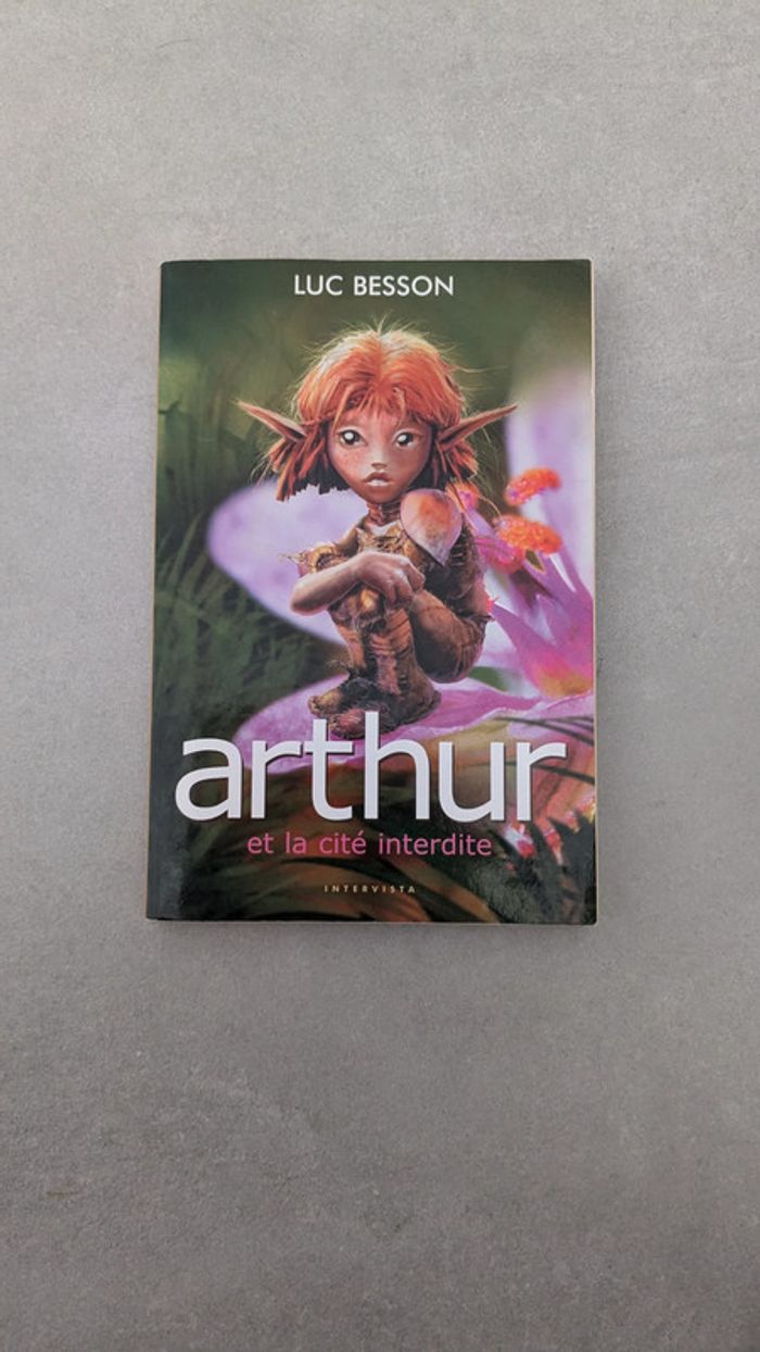 Livre Arthur et la cité interdite