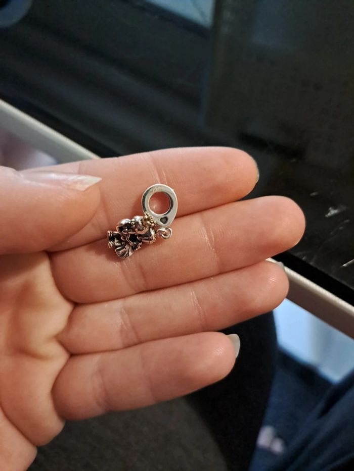 Accessoire - photo numéro 4