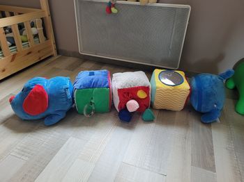 Peluche activités