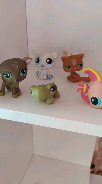 Lot de 5 Pet Shop originaux