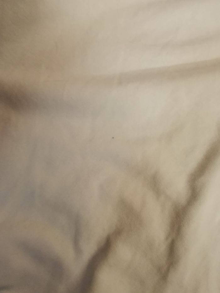 Pulls - photo numéro 3