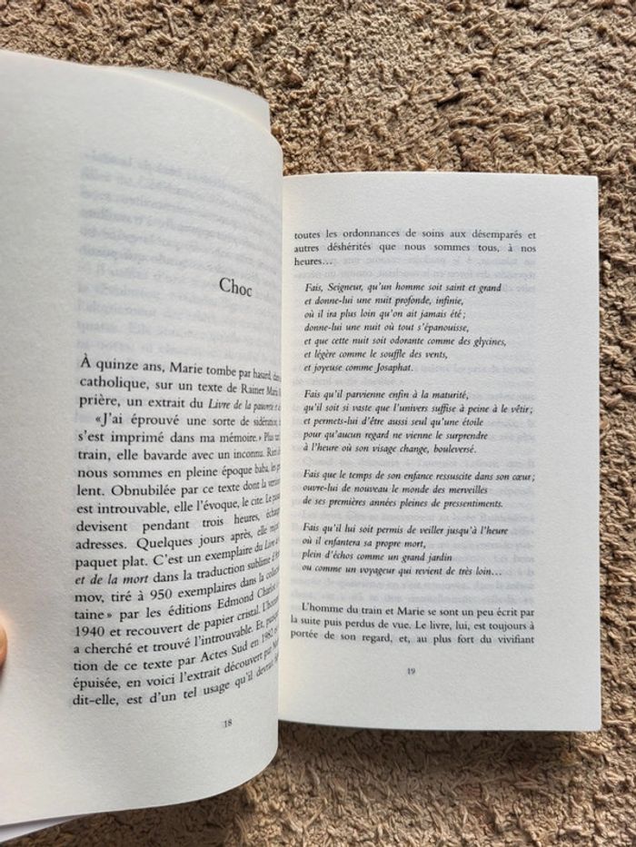 Lot 2 livres Mon écrivain préféré – Marie Desplechin & Brigitte Smadja – École des Loisirs - photo numéro 7