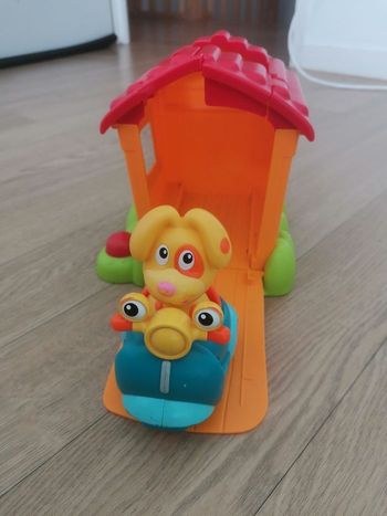 Chien scooter