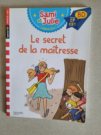 livre le secret de la maîtresse (2e)
