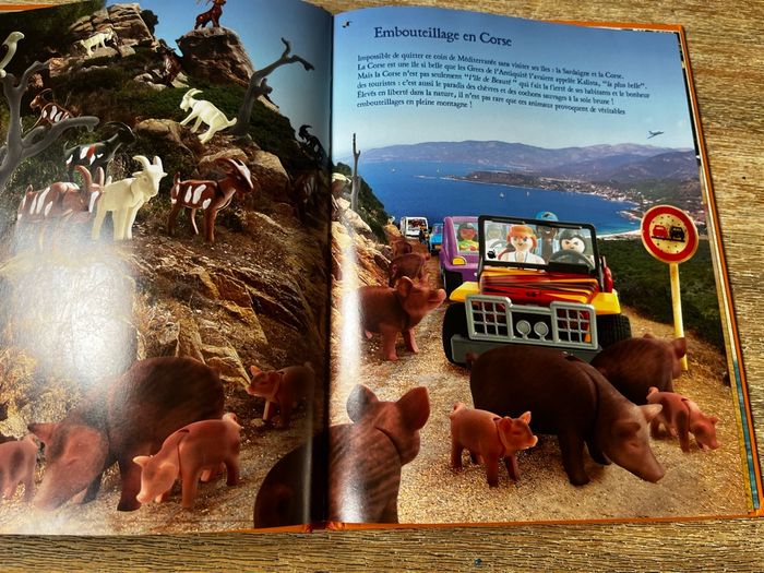 Livre playmobil - photo numéro 3