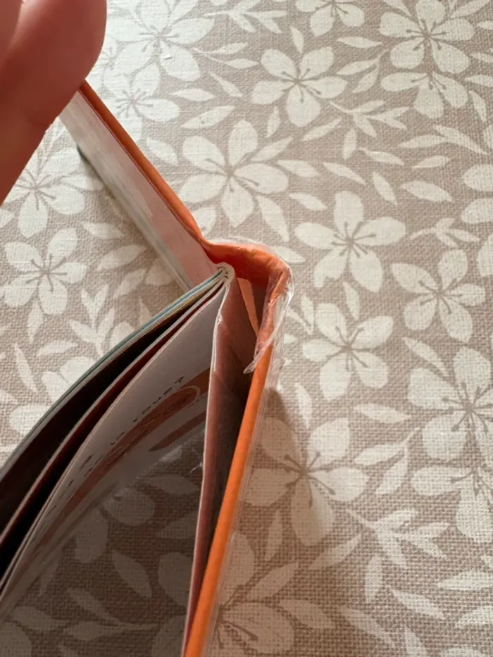 Les fabuleux pouvoirs de la roue 📚 - photo numéro 3