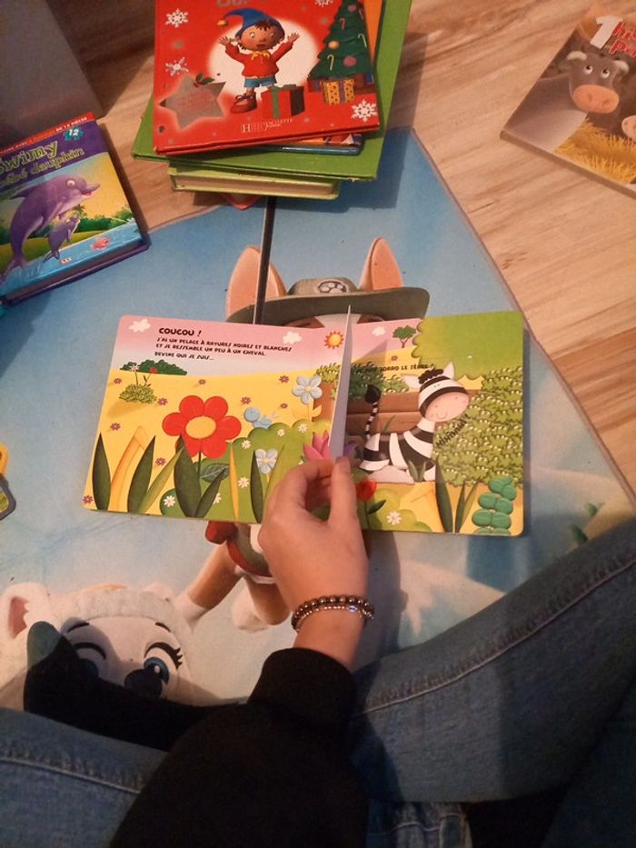 Livre flip flash au zoo - photo numéro 7