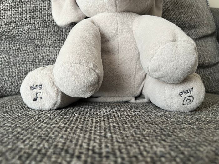 Flappy l’éléphant - photo numéro 2