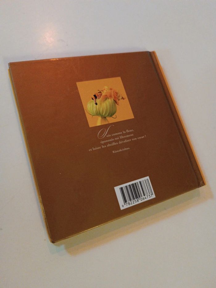 Petit small Livre Book jaune yellow abeille bee photo photographie Anne Geddes bébé baby amour 2003 - photo numéro 7