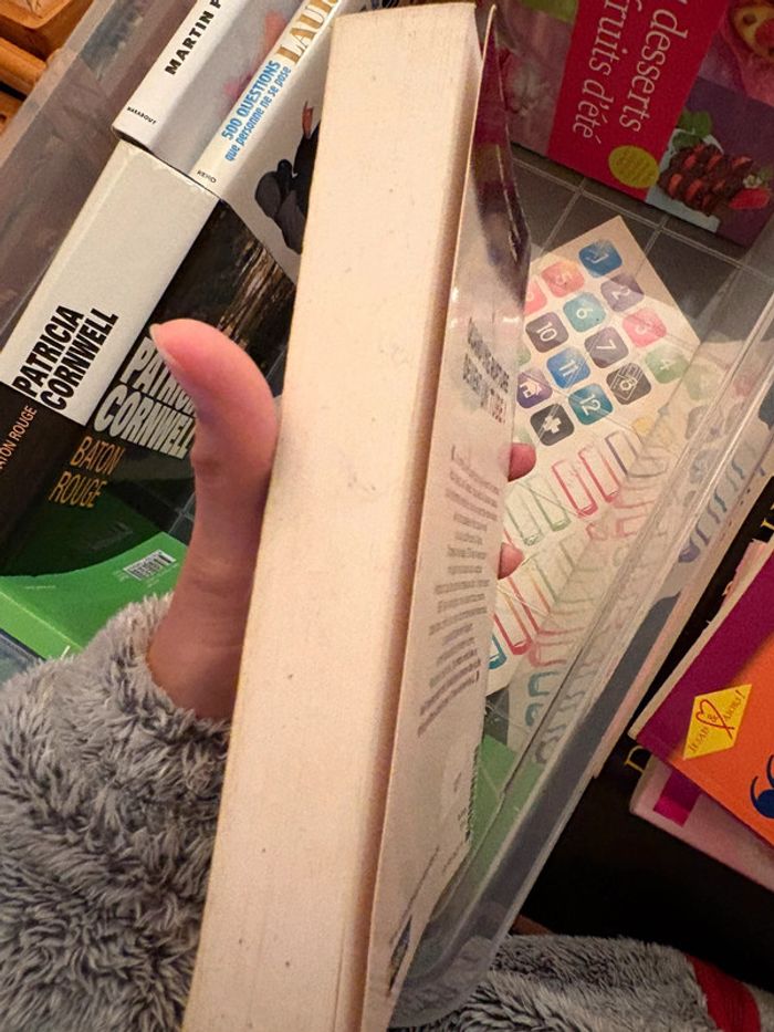 Comment je suis devenue célèbre - photo numéro 3