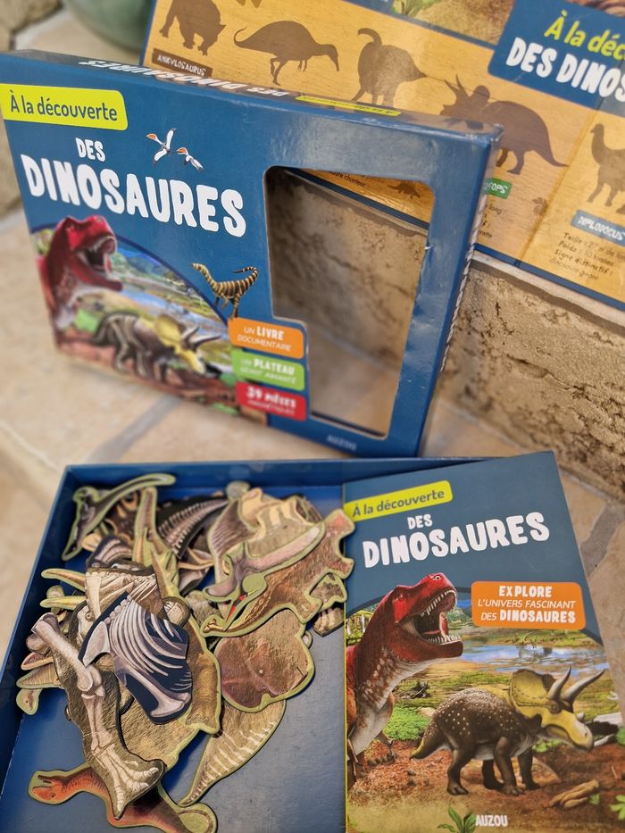 Jeu dinosaure - photo numéro 2