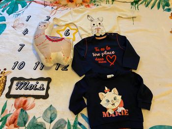 Lot de 3 pull sweats bébé 6 mois