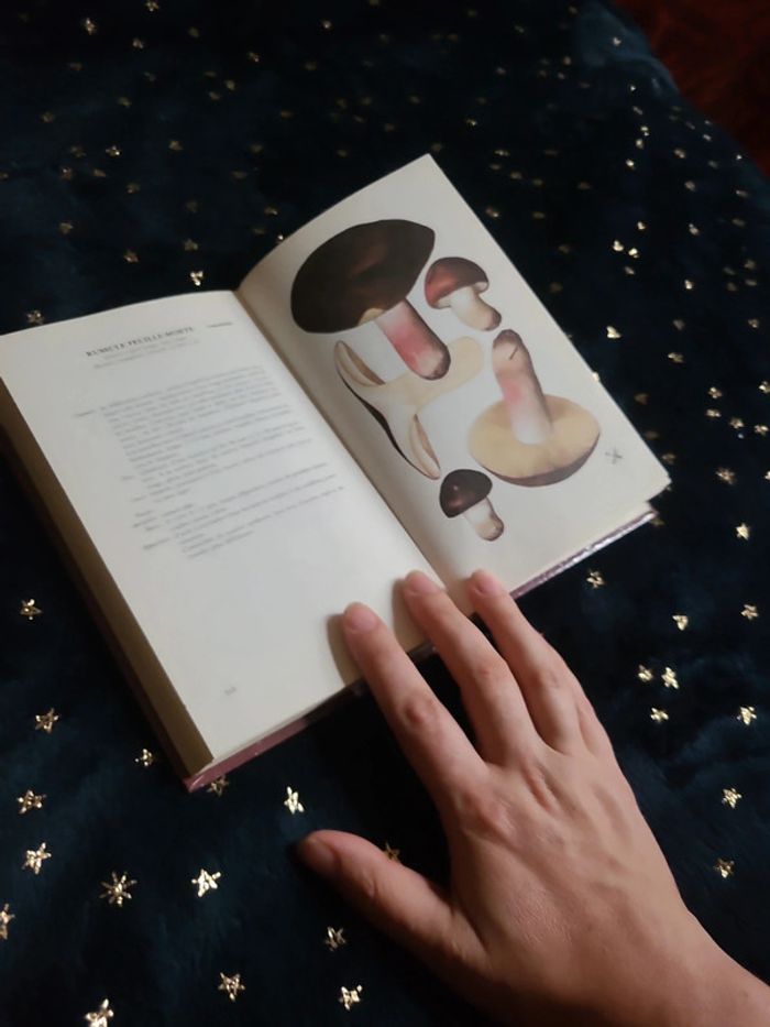 Petit livre sur les champignons - photo numéro 4