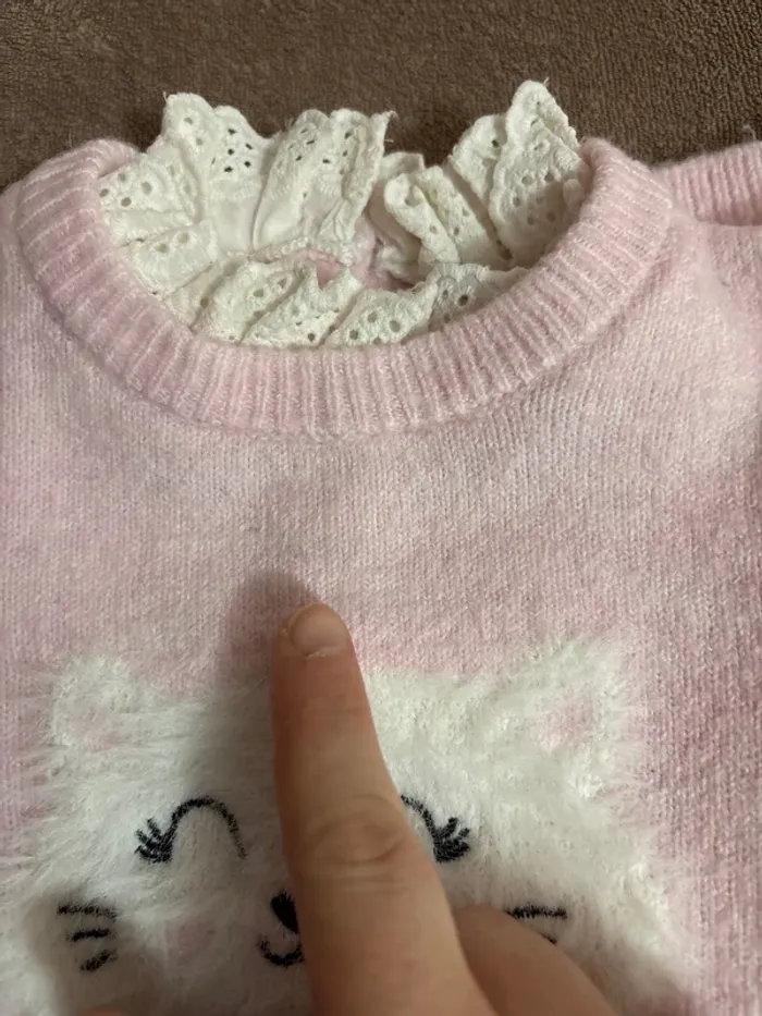 Pull chat - photo numéro 4