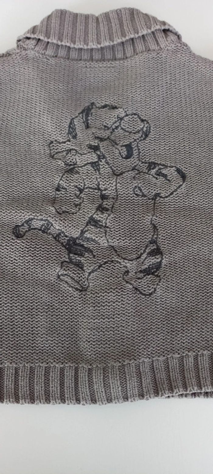 Veste tigrou bébé - photo numéro 2